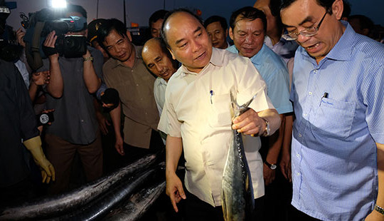 Thủ tướng làm việc tại miền Trung về tình hình khắc phục sự cố môi trường biển