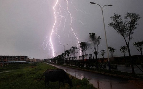 Phú Thọ: Thiệt hại nặng nề do dông lốc