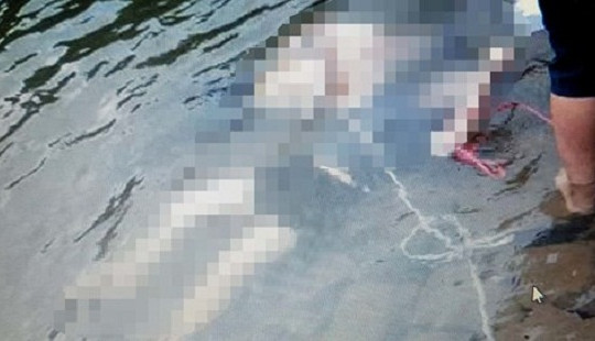 Hà Nội: Bàng hoàng phát hiện 2 thi thể dưới hồ nước