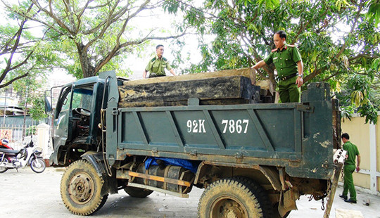 Bắt xe tải vận chuyển gỗ lậu trong đêm