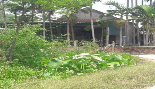 Đôi vợ chồng thương vong trong căn nhà nồng nặc mùi xăng