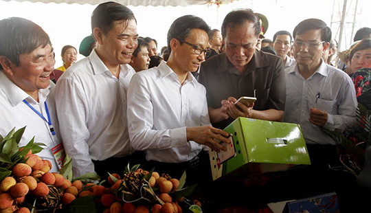 Các vùng nông nghiệp đặc sản cần phát huy tiềm năng du lịch từ sản xuất, kinh doanh