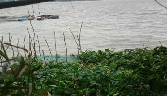 Tìm thấy thi thể người đàn ông nhảy cầu Mỹ Thuận