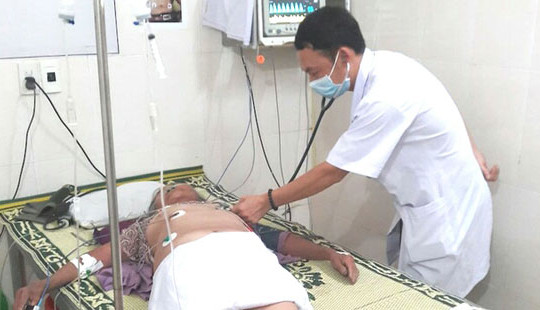 Nghệ An: Cụ bà bị đàn ong rừng tấn công suýt mất mạng
