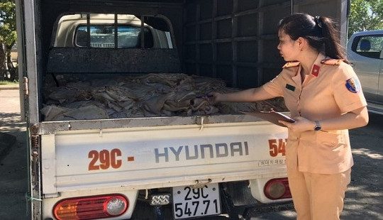 Thanh Hóa: Bắt giữ xe ô tô tải vận chuyển 1 tấn bì lợn thối không rõ nguồn gốc