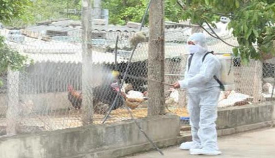 Xuất hiện ổ dịch cúm A/H1N1 trong một gia đình ở Đắk Lắk
