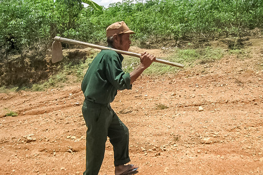 “Cây đại thụ” trên đỉnh Trường Sơn