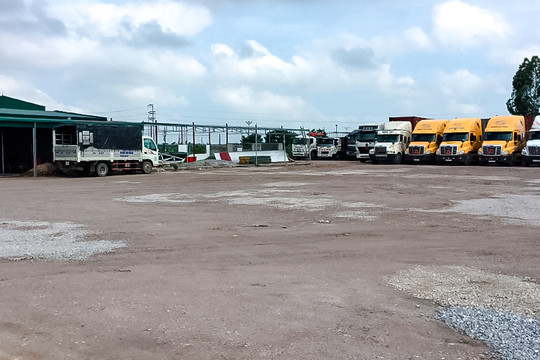 Vụ hàng ngàn m2 đất nông nghiệp bị sử dụng sai mục đích ở Tiên Lãng, Hải Phòng: Chủ tịch xã có cho thuê đất trái thẩm quyền?