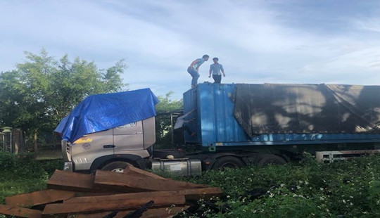 Bắt giữ gần 50m3 gỗ lậu tại huyện Kong Chro