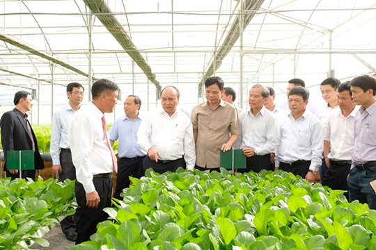 Thủ tướng thăm mô hình nông nghiệp sạch tại Lâm Đồng