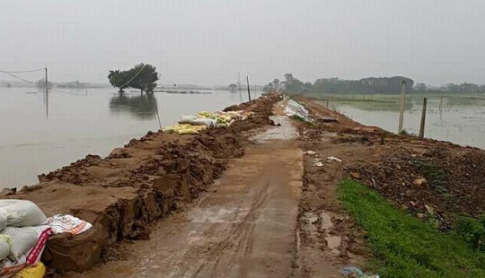 Mưa lớn tiếp diễn, hàng nghìn hộ dân ở Chương Mỹ đối mặt với ngập lụt