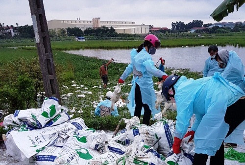 Hải Phòng: Phát hiện 2 ổ dịch cúm A/H5N6, hơn 10.000 con gia cầm nhiễm bệnh
