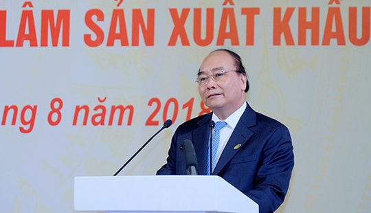 Kiên quyết đóng cửa rừng tự nhiên, không phá rừng làm cây công nghiệp