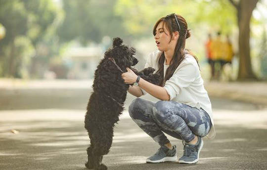 Chú chó Heo đã làm khó Charlie Nguyễn và ê kip "Chàng vợ của em" như thế nào?