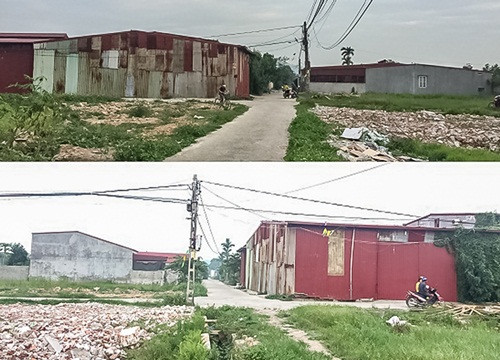 Thị trấn Trường Sơn (An Lão, Hải Phòng): Nhiều hecta đất nông nghiệp bị chuyển đổi trái phép