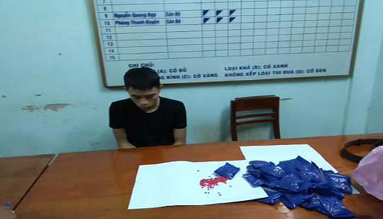 Bắt đối tượng vận chuyển 8.000 viên ma túy tổng hợp