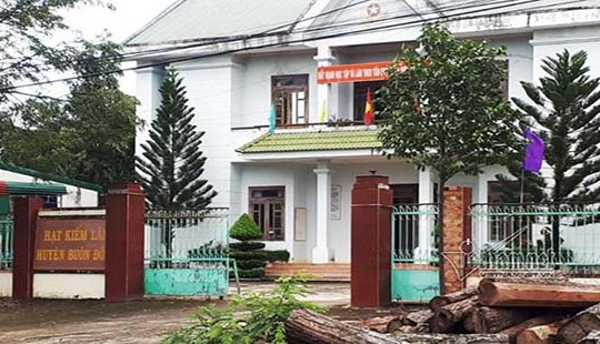Khởi tố Hạt trưởng hạt kiểm lâm nhận tiền của trùm gỗ lậu Phượng “râu”