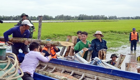 Dồn sức đắp đê, ngăn lũ cứu lúa tại An Giang