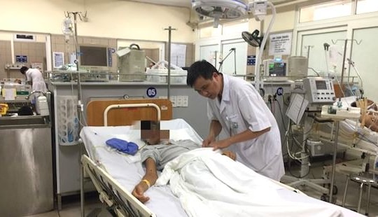 Suy thận, suy đa tạng do bị ong đốt