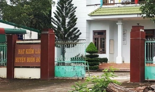 Khởi tố thêm Hạt phó Hạt kiểm lâm nhận tiền của ông trùm gỗ lậu Phượng "râu"
