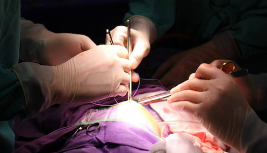 Hy hữu, bé trai chào đời không có hậu môn