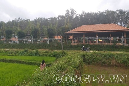 Hàng loạt công trình xây dựng trên đất trồng cây lâu năm