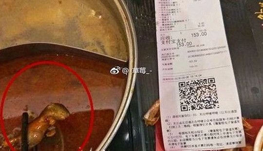 Chuỗi nhà hàng nổi tiếng Trung Quốc mất 190 triệu USD vì đồ ăn có chuột