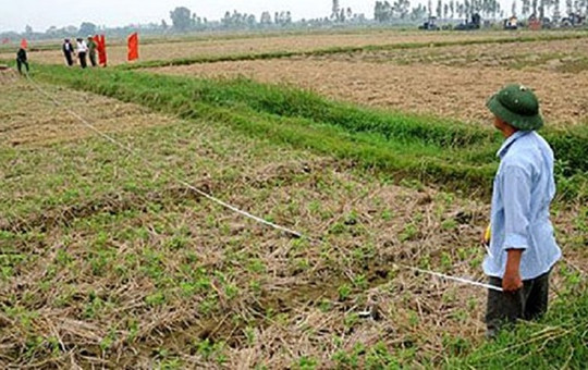 Cần quyết liệt bảo vệ đất nông nghiệp