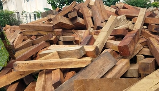 Vụ gỗ lậu ở huyện Mang Yang: Tra số điện thoại xác định đối tượng đe dọa cán bộ bảo vệ rừng