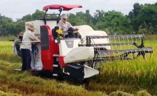 Bắt giữ các đối tượng cướp tài sản và bảo kê máy gặt lúa
