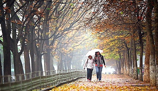 Thêm đợt không khí lạnh, các tỉnh Bắc Bộ trời chuyển lạnh từ đêm nay
