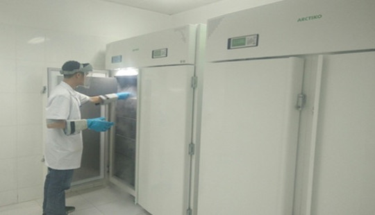 Ngân hàng mô đầu tiên của Việt Nam đi vào hoạt động