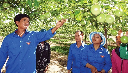 Hành trình khởi nghiệp là cơ hội để thanh niên phát triển ý tưởng sáng tạo mới
