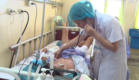 Bị rắn cạp nia cắn, bé trai 14 tuổi nguy kịch