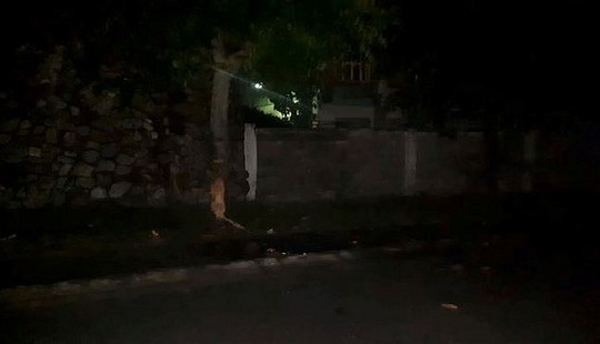 Đâm vào gốc cây bên đường, 2 công nhân tử vong