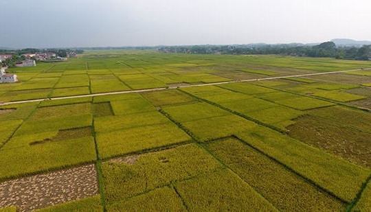 Dự án đại lộ Đông - Tây tạo "cú hích" hạ tầng cho tỉnh Thái Nguyên