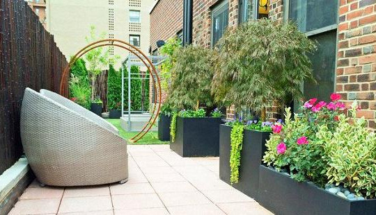 Mối tình bí mật nhiều năm của bố khiến con rể xót xa