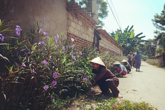 Nâng cao ý thức bảo vệ môi trường trong xây dựng các tuyến đường hoa