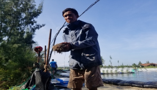 Điều tra 3 hồ nuôi tôm của người dân chết không rõ nguyên nhân