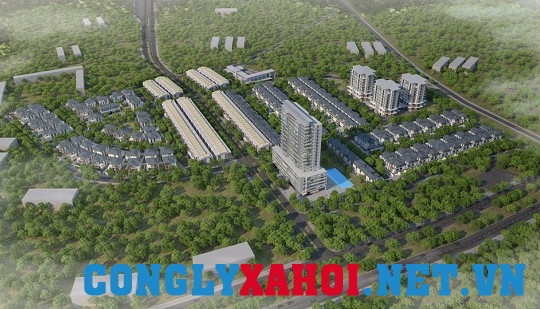 “Lúa non chín ép” và bản hợp đồng chứa rủi ro của Park Hill Thành Công
