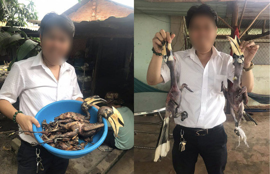 Xác minh thông tin giám đốc doanh nghiệp 'thịt' chim quý hiếm