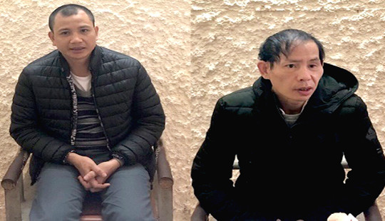 Giả mạo chữ ký và con dấu của Chủ tịch UBND tỉnh để khai thác đất