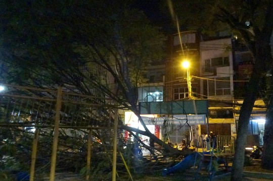 Cành cây lớn trong công viên rơi xuống đè 2 bé gái bị thương