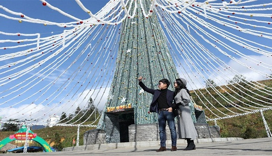 Du khách đổ lên Fansipan chiêm ngưỡng “cây thông Noel đẹp nhất châu Âu”