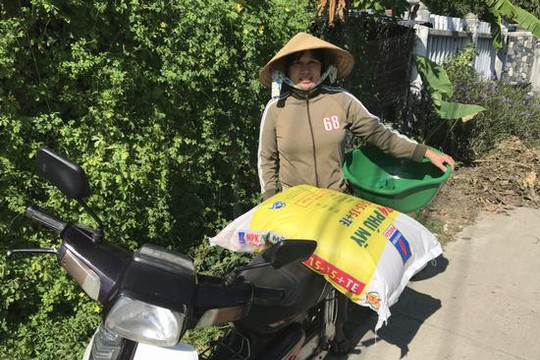 Bà Thủy và ông Thiên đều chịu thua NPK Phú Mỹ công nghệ hóa học