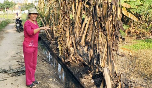 Cuộc sống của người dân bị đảo lộn do sự cố tràn dầu từ cây xăng