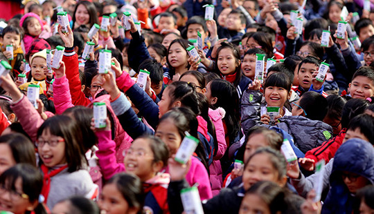 Chính thức triển khai Chương trình Sữa học đường Hà Nội