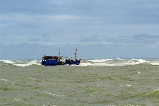 Cứu nạn thành công 10 ngư dân Bình Định bị chìm tàu ngoài khơi