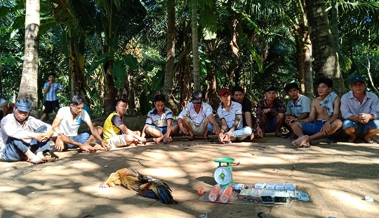 Triệt xóa tụ điểm đá gà ăn thua bằng tiền tạm giữ 32 xe môtô