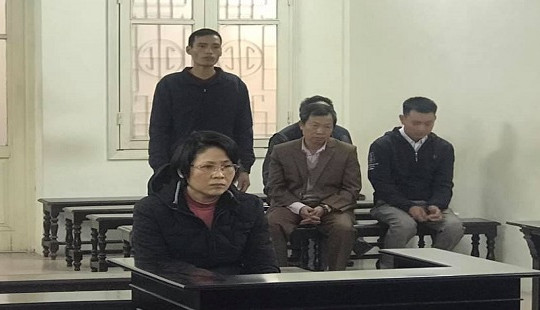 Nói dối có con gái ở nước ngoài để lừa đảo chiếm đoạt tài sản